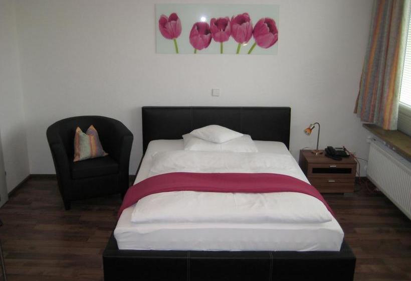 Neu Heidelberg Guesthouse & Apartments 9