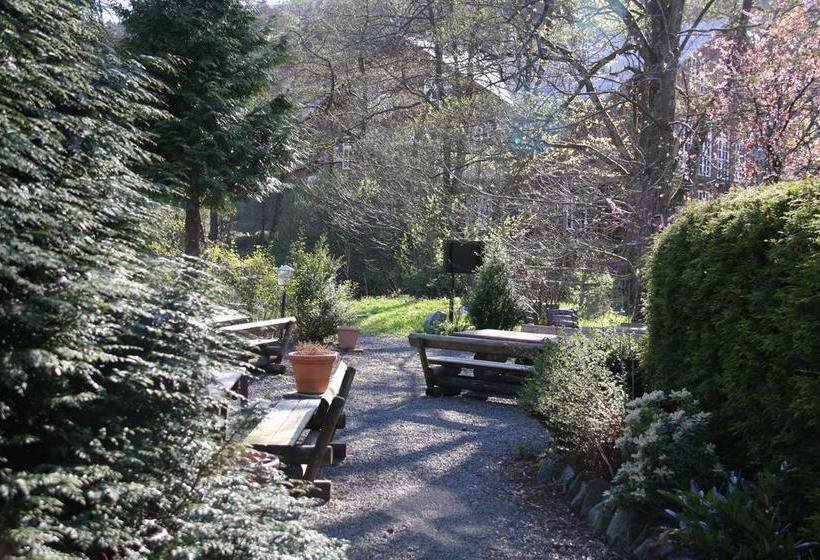 Hotel Zum Forsthaus 4