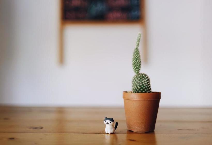 Hotel Best Stay Hostel 6