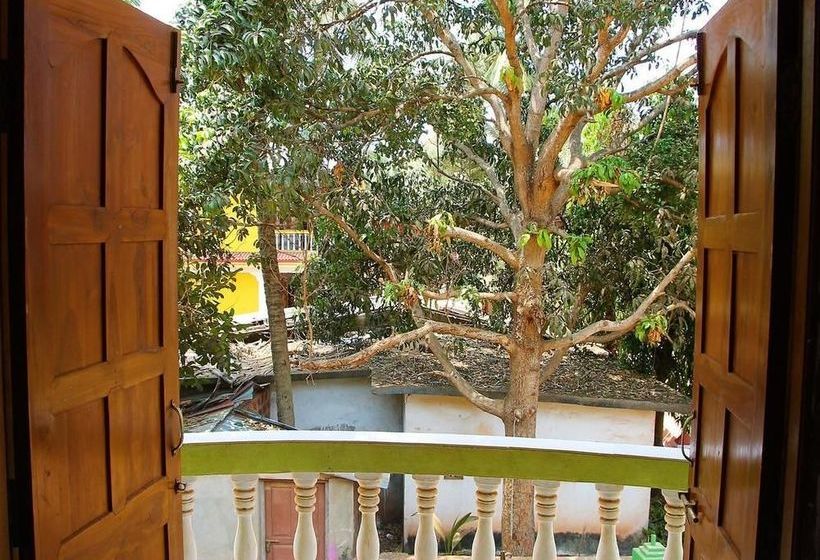 Hotel Fig Fin Beach Resort 11