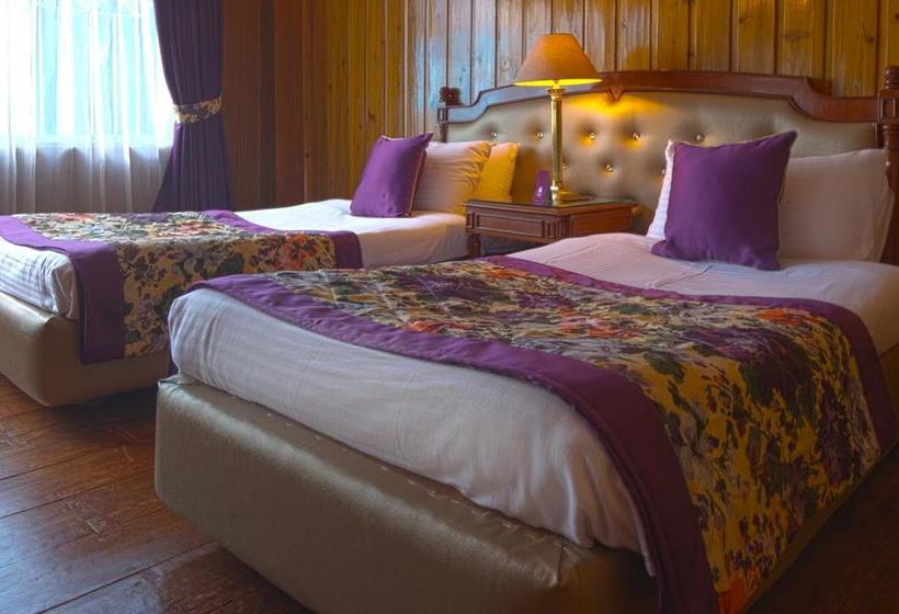 Hotel Mount Himalayan Resort 12