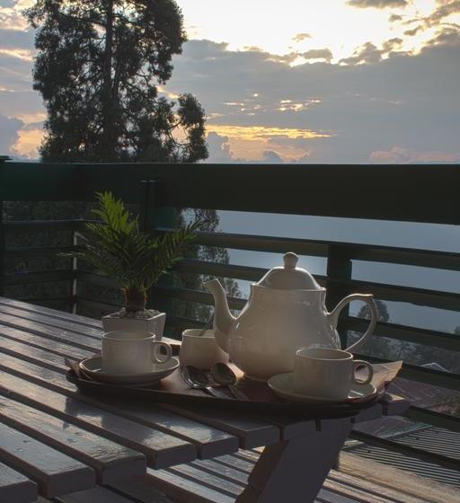 Hotel Mount Himalayan Resort 2