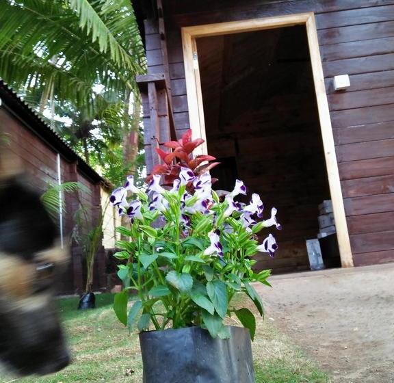 Hotel The Cool Huts 6