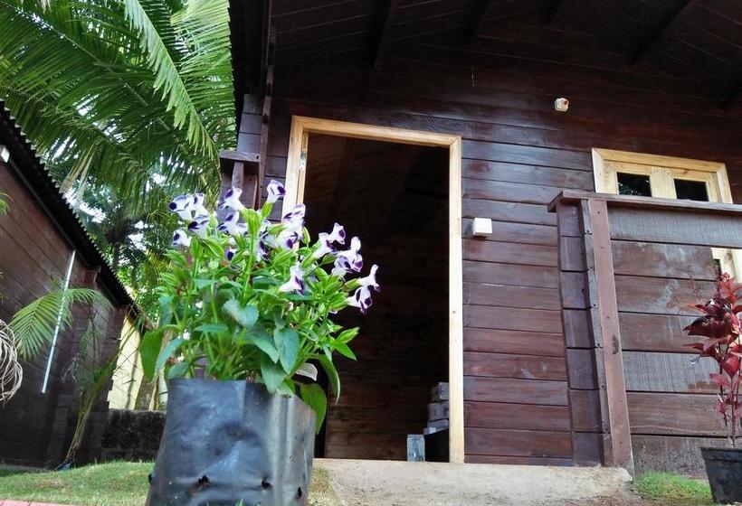 Hotel The Cool Huts 7