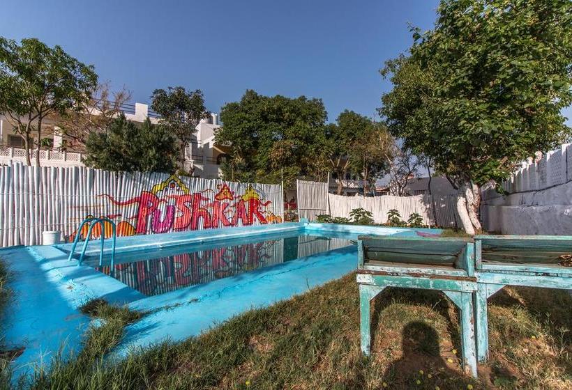 Hotel Backpacker Panda Chand Palace