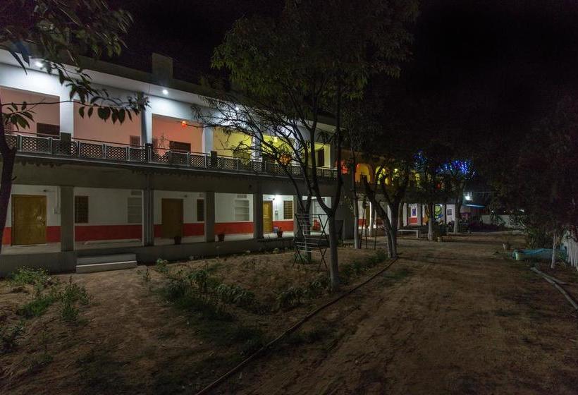 Hotel Backpacker Panda Chand Palace 15