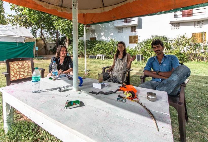 Hotel Backpacker Panda Chand Palace 16