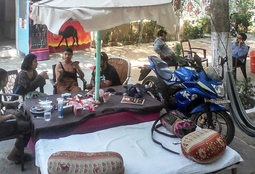 Hotel Backpacker Panda Chand Palace 6