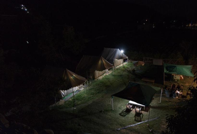 Hotel Backpacker Panda Chand Palace 7