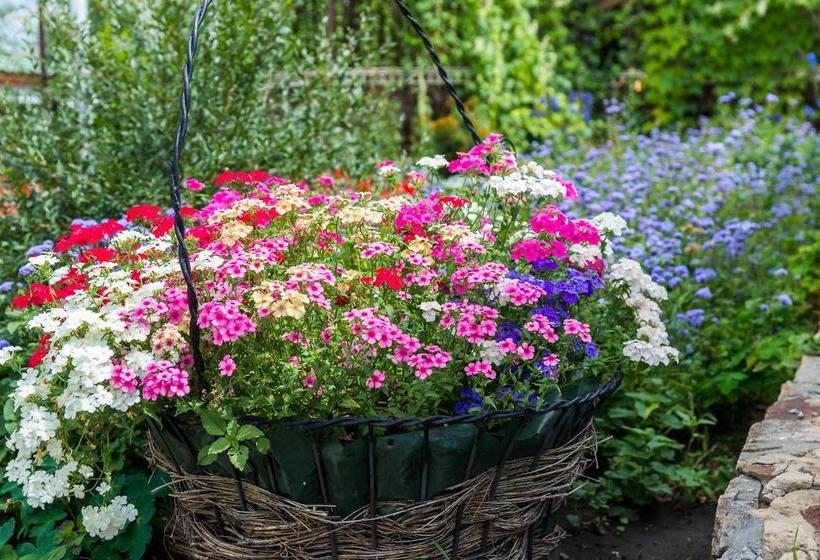 Hotel Panama City 12