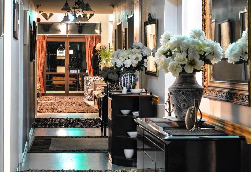 Hotel Alicante Backpackers