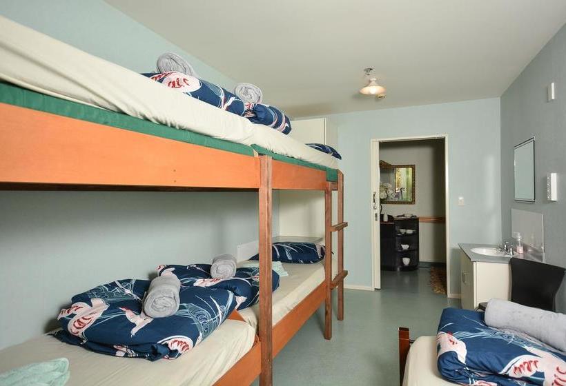 Hotel Alicante Backpackers 1