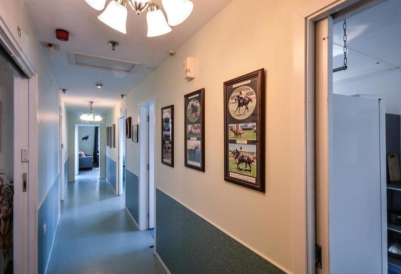 Hotel Alicante Backpackers 7