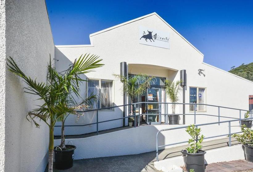 Hotel Alicante Backpackers 9