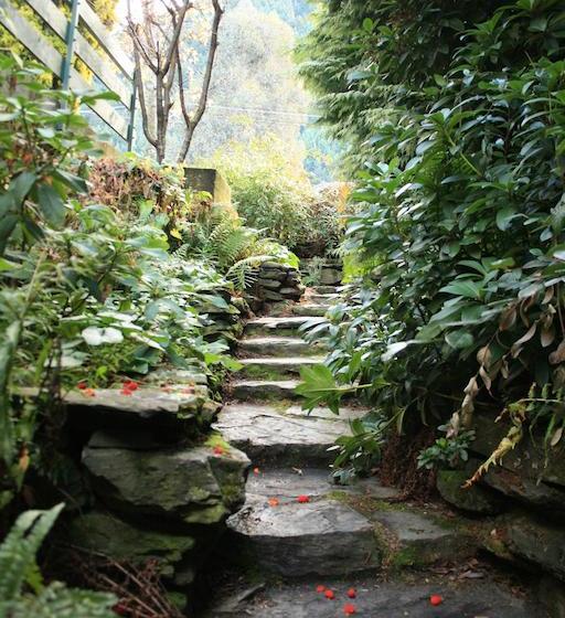 Hotel The Flaming Kiwi Backpacker 2