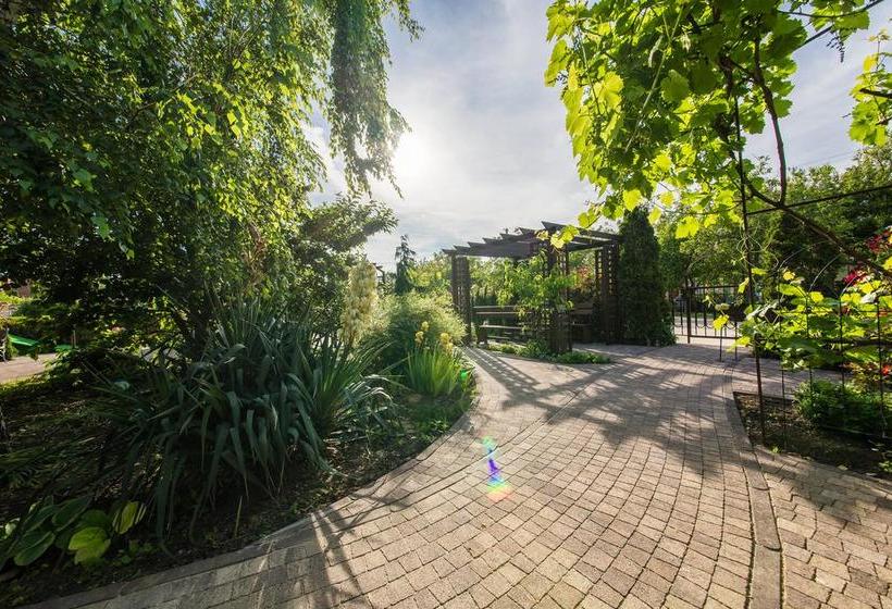 Hotel Olivia Anapa 17