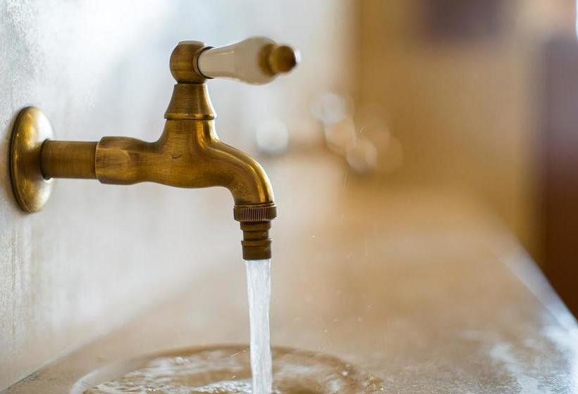 Hotel Rosa Springs 6