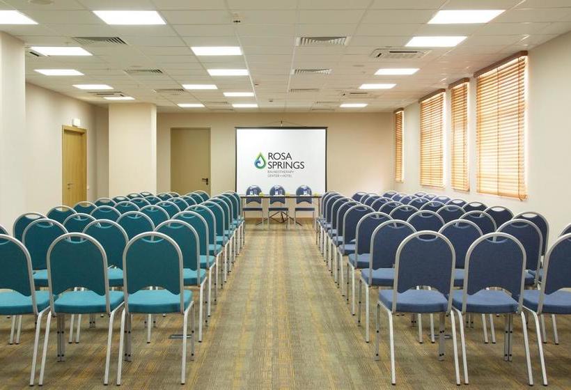 Hotel Rosa Springs 8