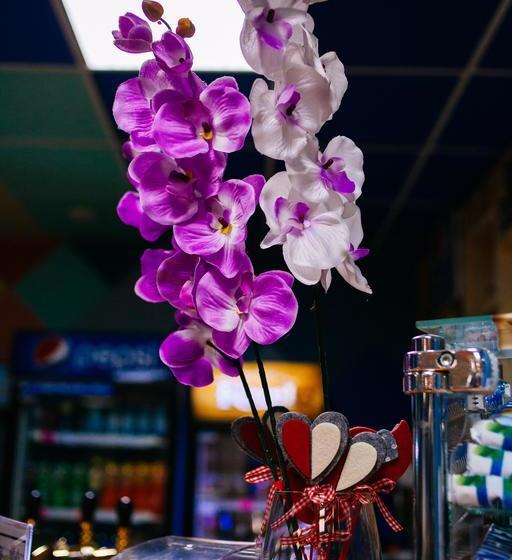 Hotel Priyut Pandy 19