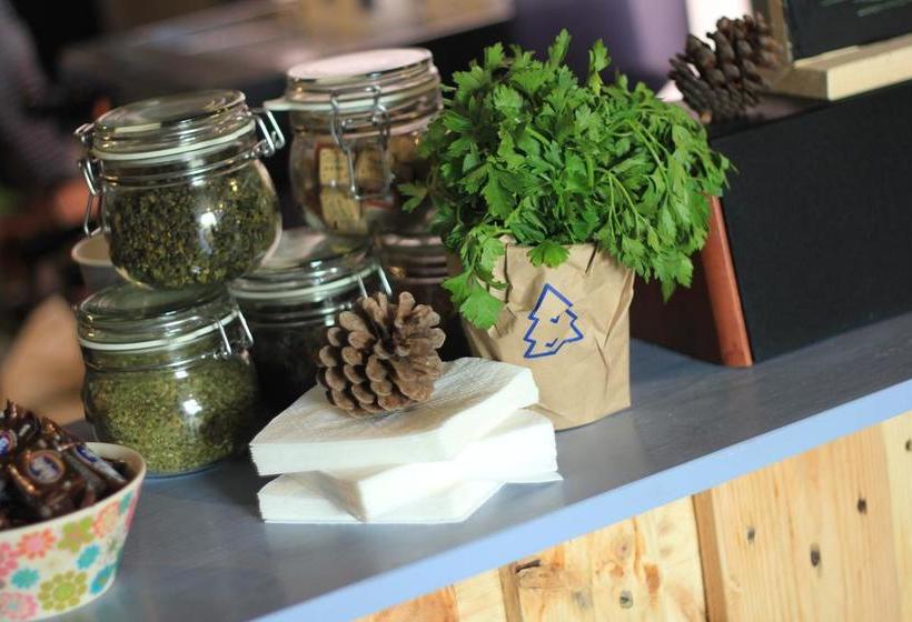 Hotel El Coffee House And Hostel 1