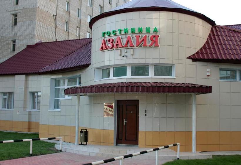 Hotel Azaliya 8