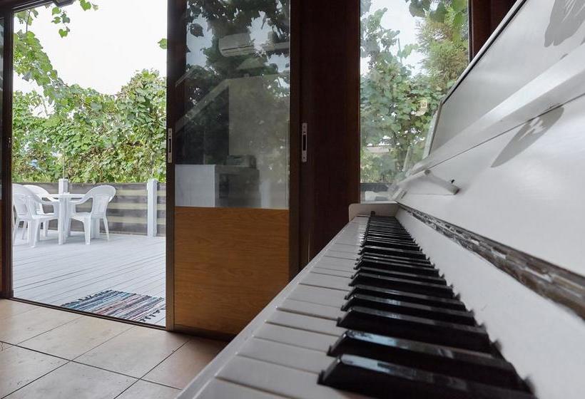 Hotel Adlerson Hostel & Bar 11