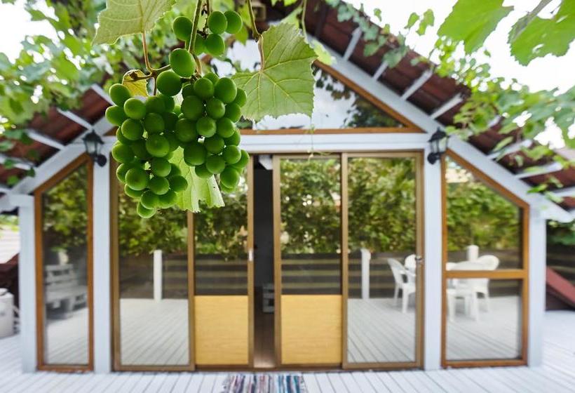 Hotel Adlerson Hostel & Bar 19