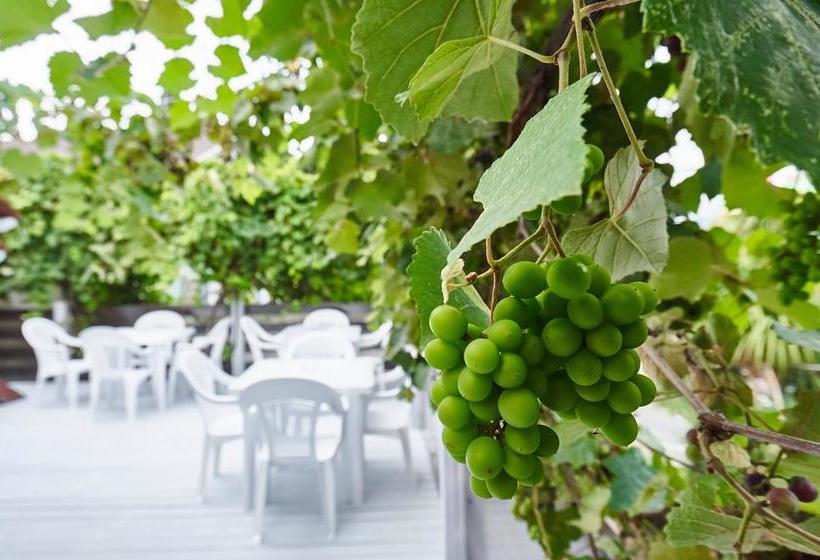 Hotel Adlerson Hostel & Bar 9