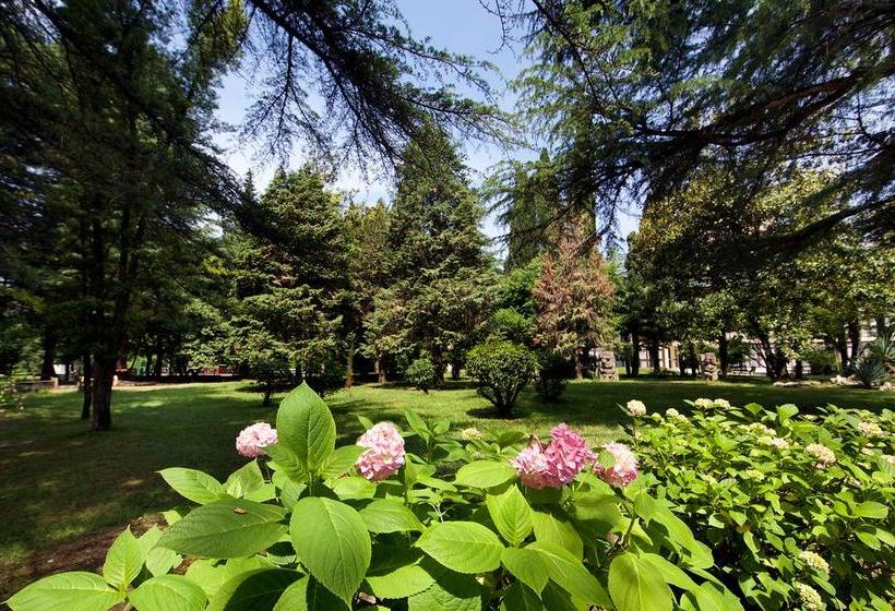 Hotel Alean Family Resort & Spa 10