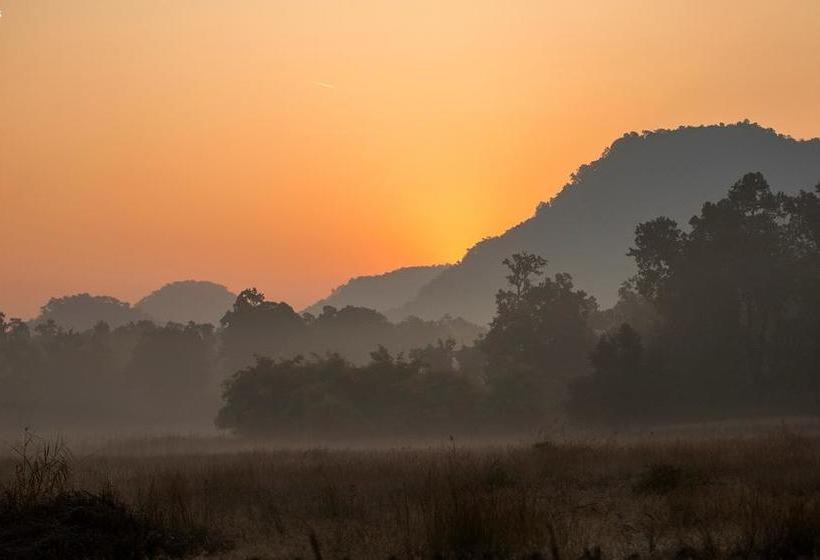 Hotel Tiger Den Resort 19