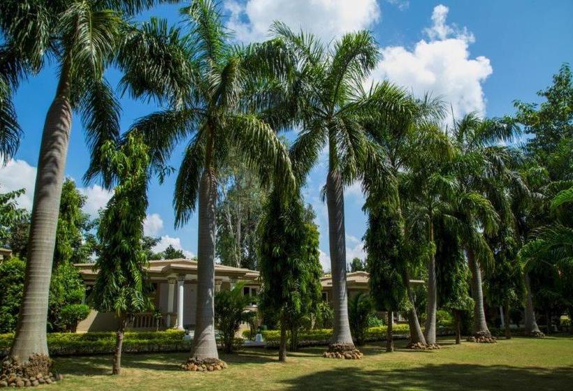 Hotel Tiger Den Resort 3