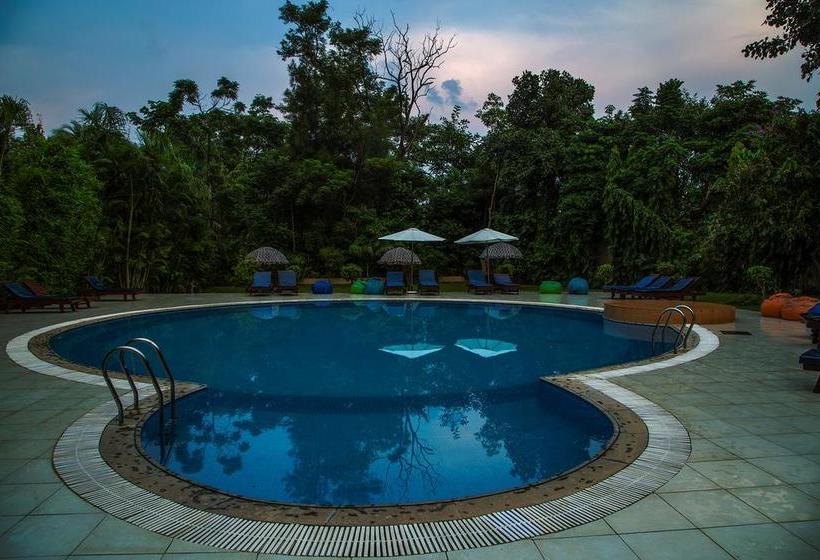 Hotel Tiger Den Resort 4