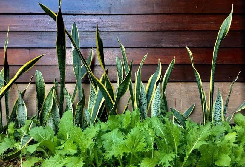 Hotel Khuang Chang Kam Boutique 17