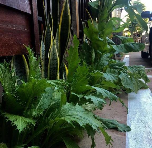 Hotel Khuang Chang Kam Boutique 18