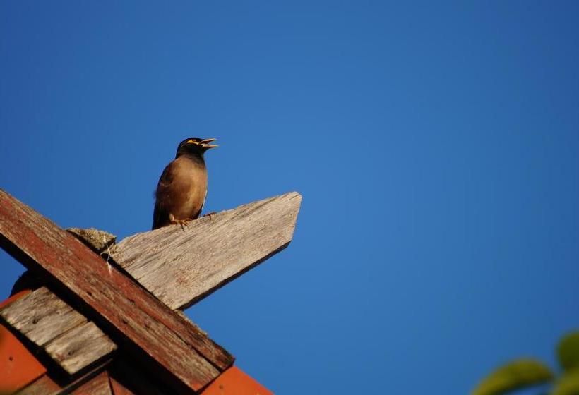 Hotel Thai Dee Garden 8