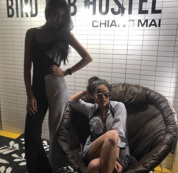 Hotel The Bird Hub Hostel 2