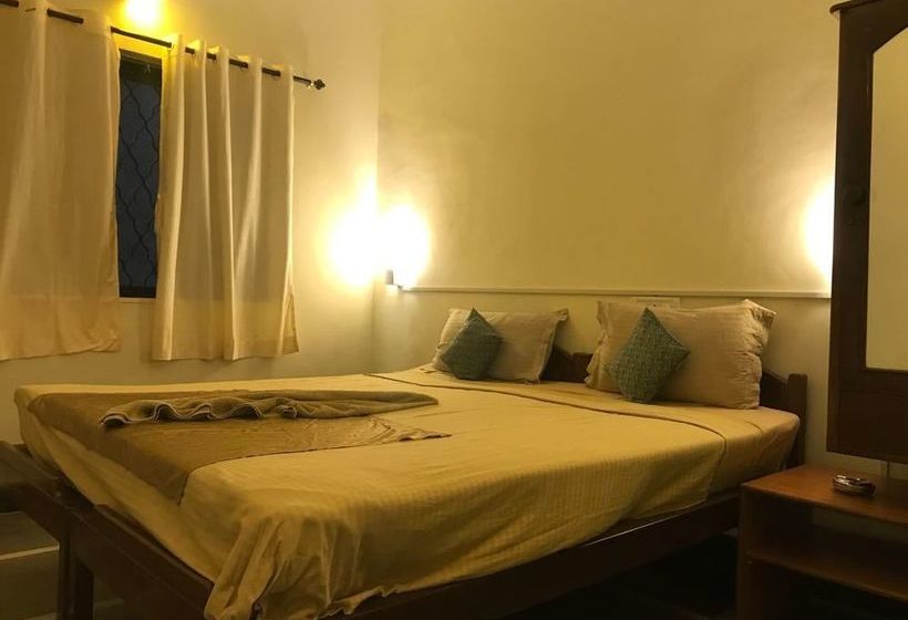 Hotel Big Daddys Inn Resort 5