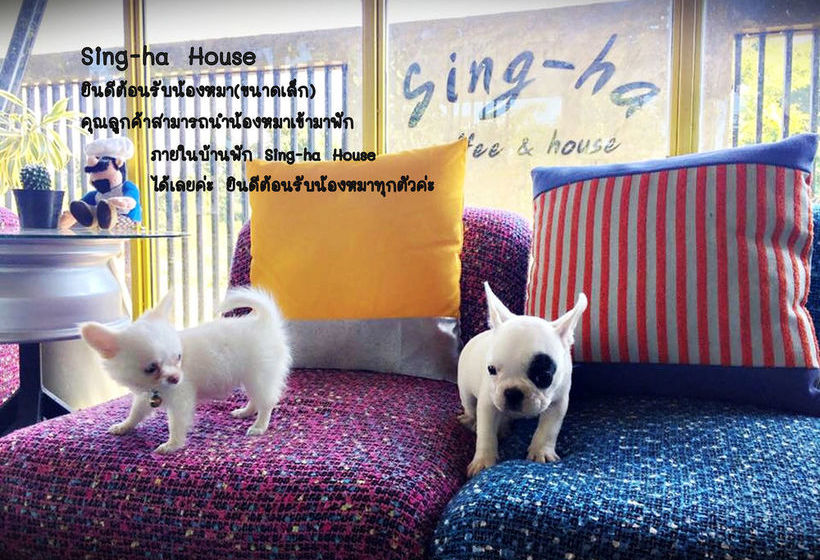 Hotel Sing-ha Coffee & House 19