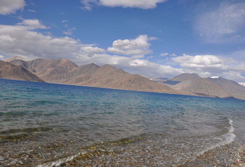 Hotel Pangong Holiday Cottages 13