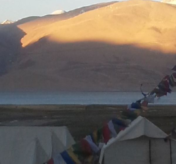 Hotel Golden Mark Camp 12