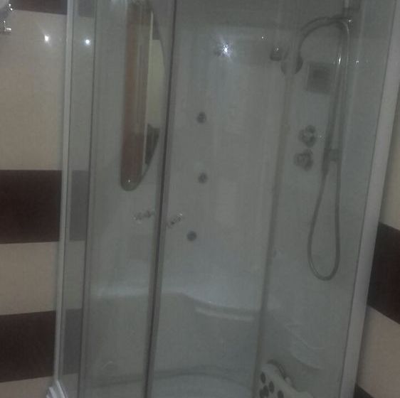 Hotel Shakti Palace 6