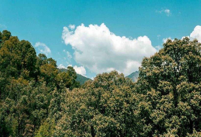 Pension Oyo 13334 Home Modern Stay Dharamshala 6