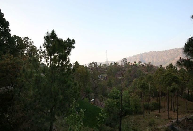 Oyo 13769 Home Spacious 3bhk Kasauli 15