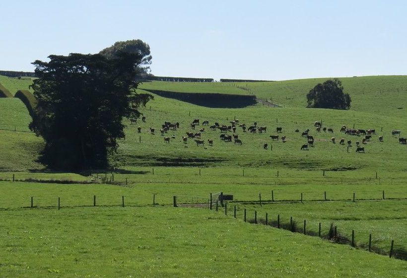 Bed and Breakfast Buckland Bnb 7