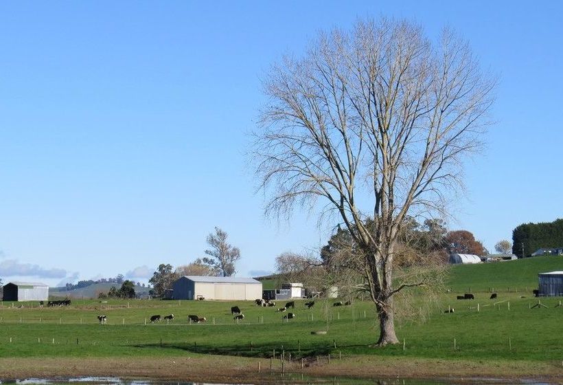 Bed and Breakfast Buckland Bnb 8