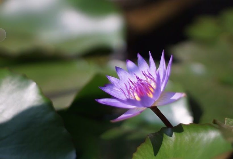 Hostel Baan Rimtaling Guest House 12