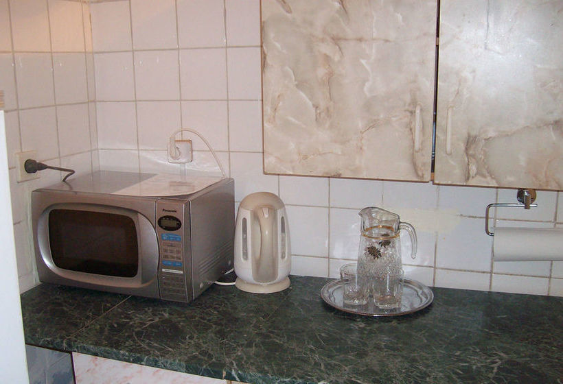 Hotel Pansionat Zvenigorodskiy 7