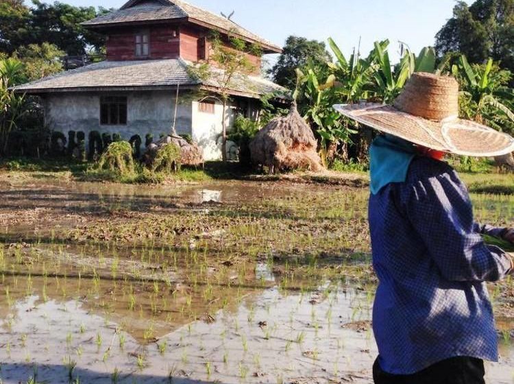 Pension Oey-chan-dha Villa 15