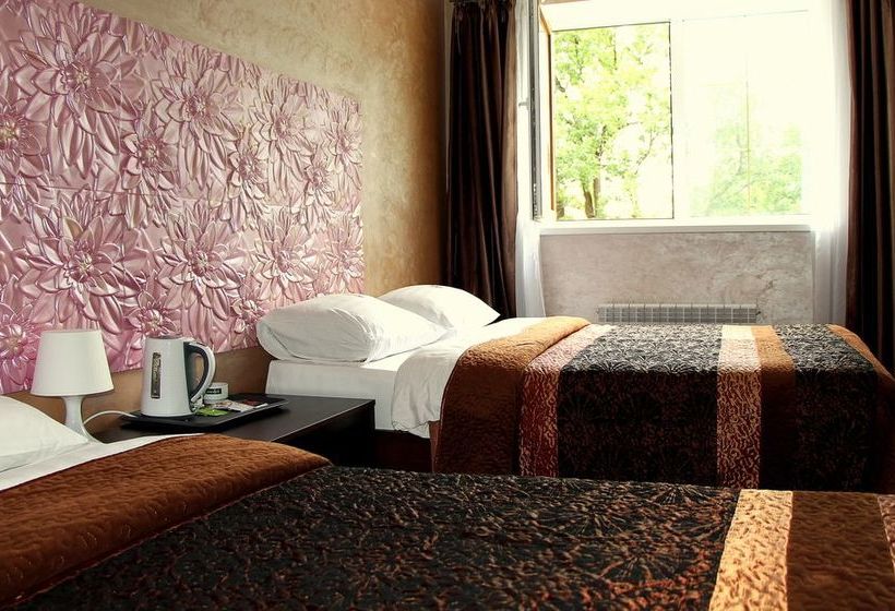 Hotel Diadema Sheremetyevo 11