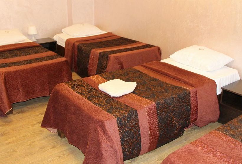 Hotel Diadema Sheremetyevo 8